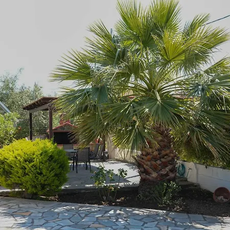 Palm Tree By Halu! - Summer House In Poteidaia *